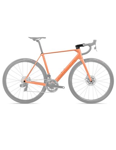 CUADRO ORBEA ORCA OMX 24