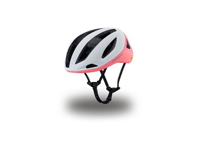 CASCO SPECIALIZED SEARCH 24