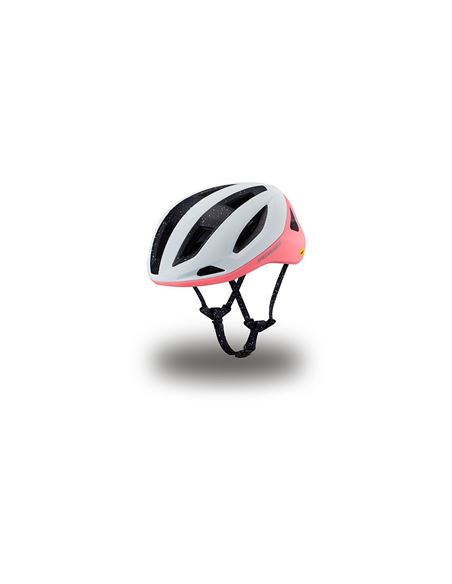 CASCO SPECIALIZED SEARCH 24