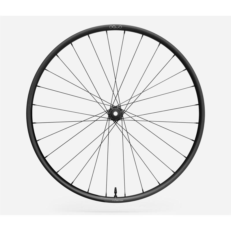 RUEDAS OQUO MP30TEAM MS CARBONO